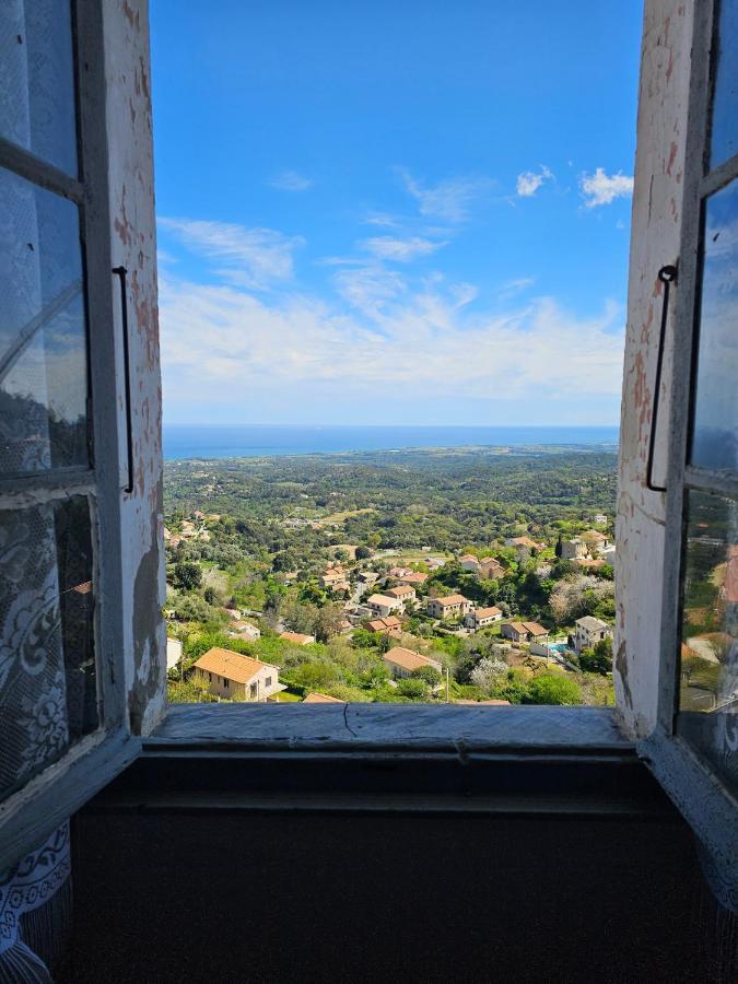 Palazzu Massoni, Magnifique Vue Sur La Mer Et La Montagne, Clim, Wifi, Parking Gratuit Cervione Eksteriør bilde