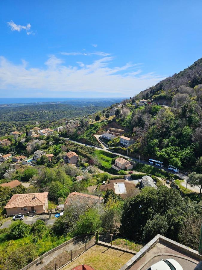 Palazzu Massoni, Magnifique Vue Sur La Mer Et La Montagne, Clim, Wifi, Parking Gratuit Cervione Eksteriør bilde