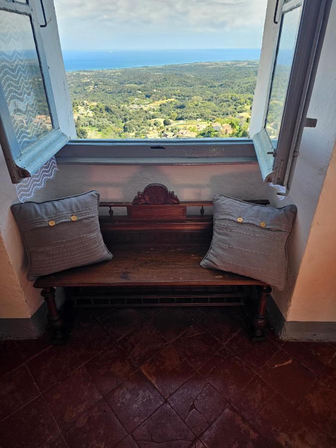 Palazzu Massoni, Magnifique Vue Sur La Mer Et La Montagne, Clim, Wifi, Parking Gratuit Cervione Eksteriør bilde