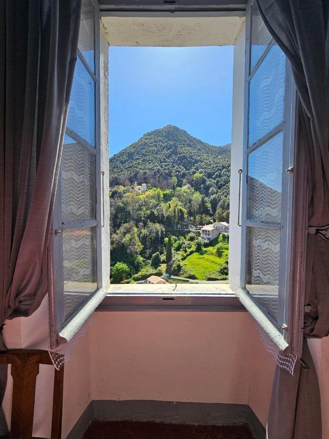 Palazzu Massoni, Magnifique Vue Sur La Mer Et La Montagne, Clim, Wifi, Parking Gratuit Cervione Eksteriør bilde