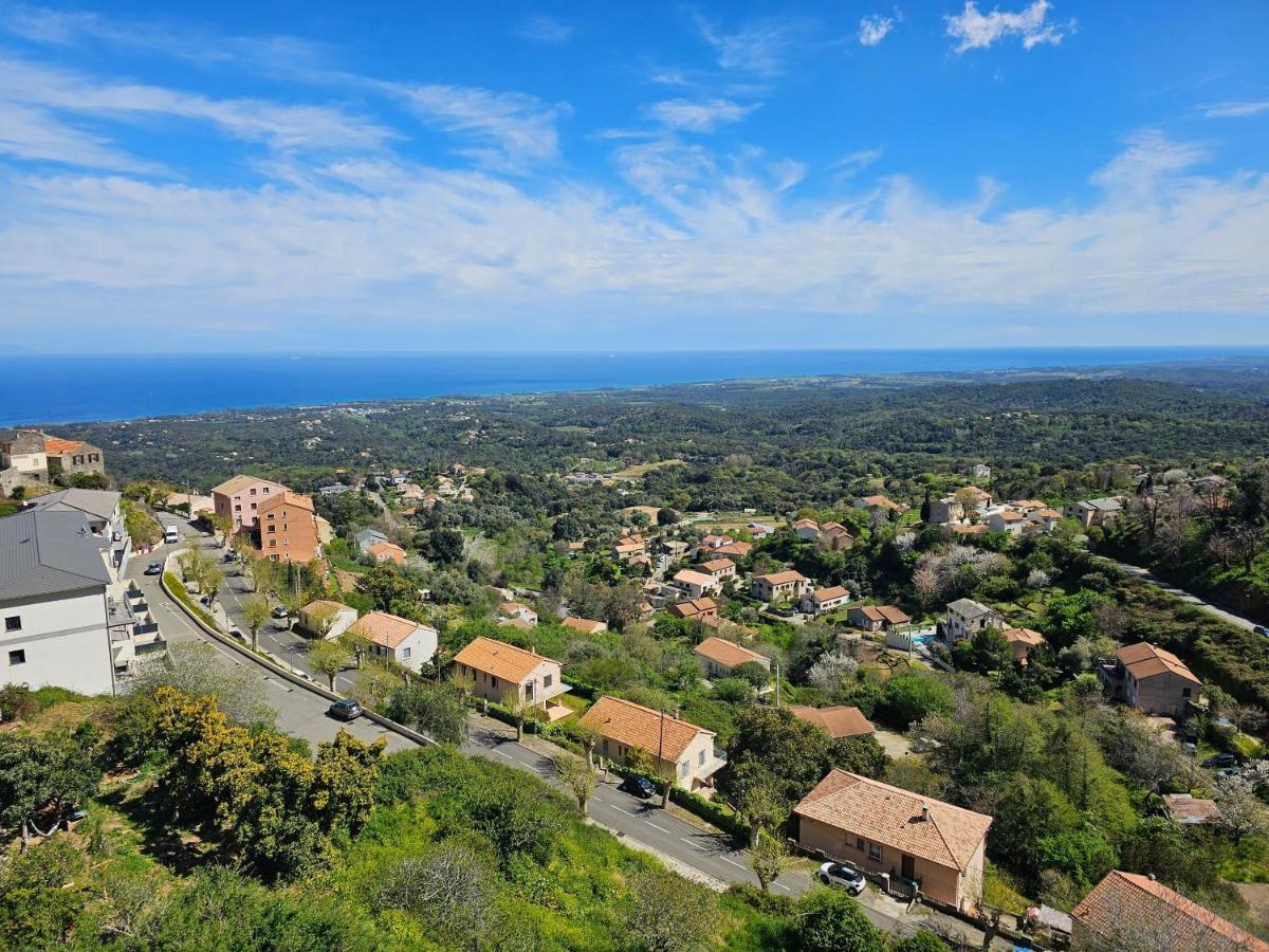 Palazzu Massoni, Magnifique Vue Sur La Mer Et La Montagne, Clim, Wifi, Parking Gratuit Cervione Eksteriør bilde