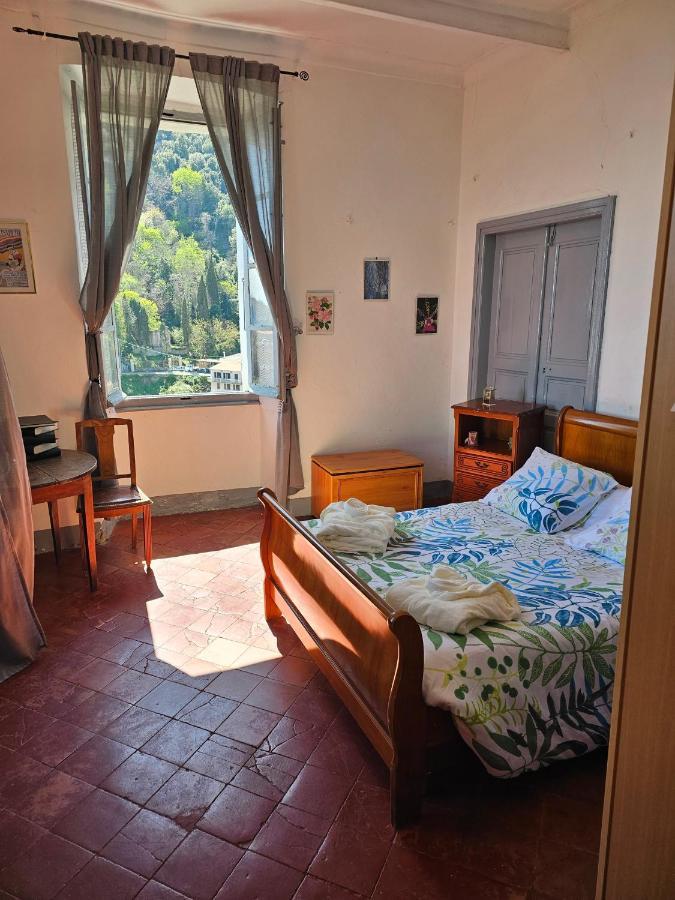 Palazzu Massoni, Magnifique Vue Sur La Mer Et La Montagne, Clim, Wifi, Parking Gratuit Cervione Eksteriør bilde