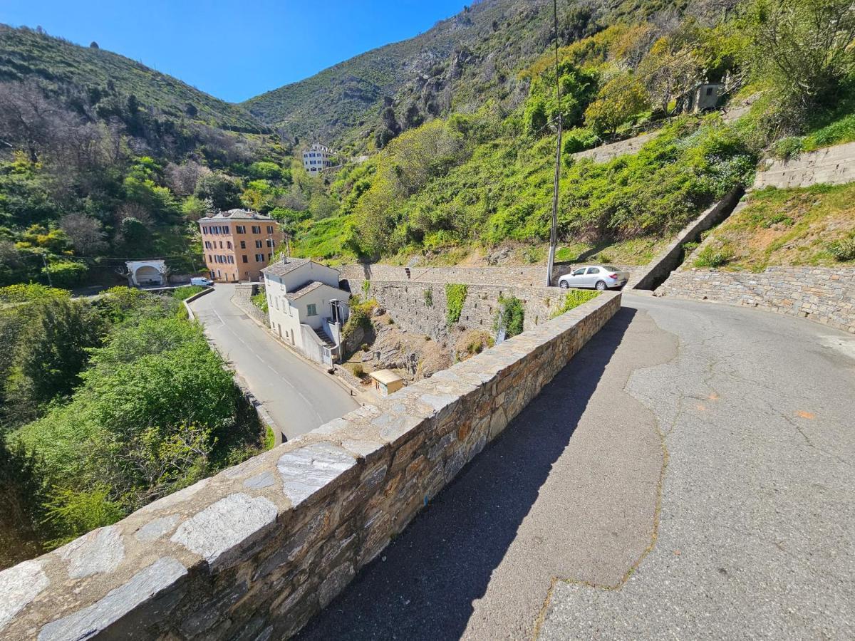 Palazzu Massoni, Magnifique Vue Sur La Mer Et La Montagne, Clim, Wifi, Parking Gratuit Cervione Eksteriør bilde