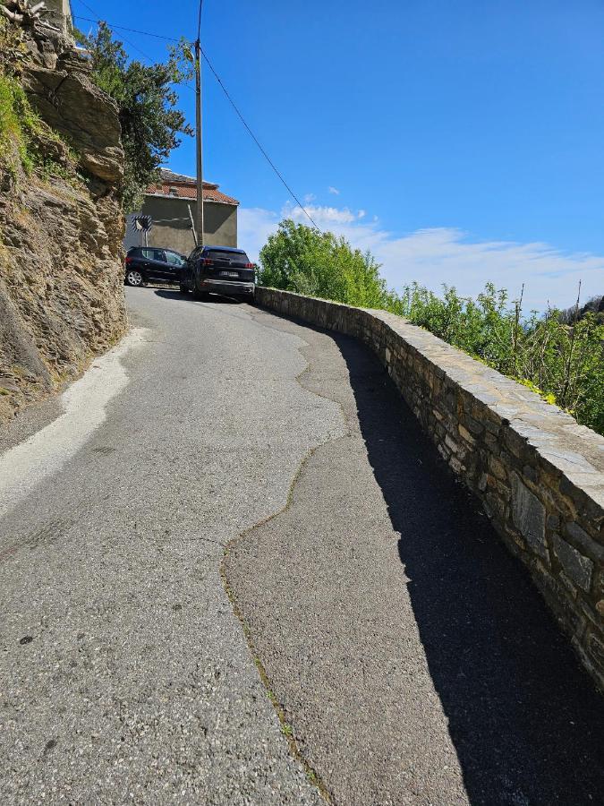 Palazzu Massoni, Magnifique Vue Sur La Mer Et La Montagne, Clim, Wifi, Parking Gratuit Cervione Eksteriør bilde